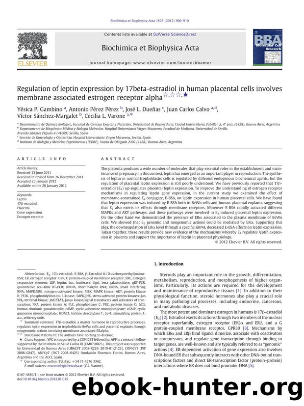 Regulation of leptin expression by 17beta-estradiol in human placental cells involves membrane associated estrogen receptor alpha by unknow