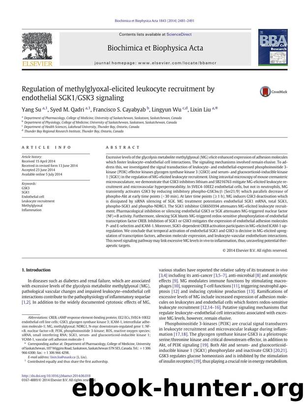 Regulation of methylglyoxal-elicited leukocyte recruitment by endothelial SGK1GSK3 signaling by Yang Su & Syed M. Qadri & Francisco S. Cayabyab & Lingyun Wu & Lixin Liu