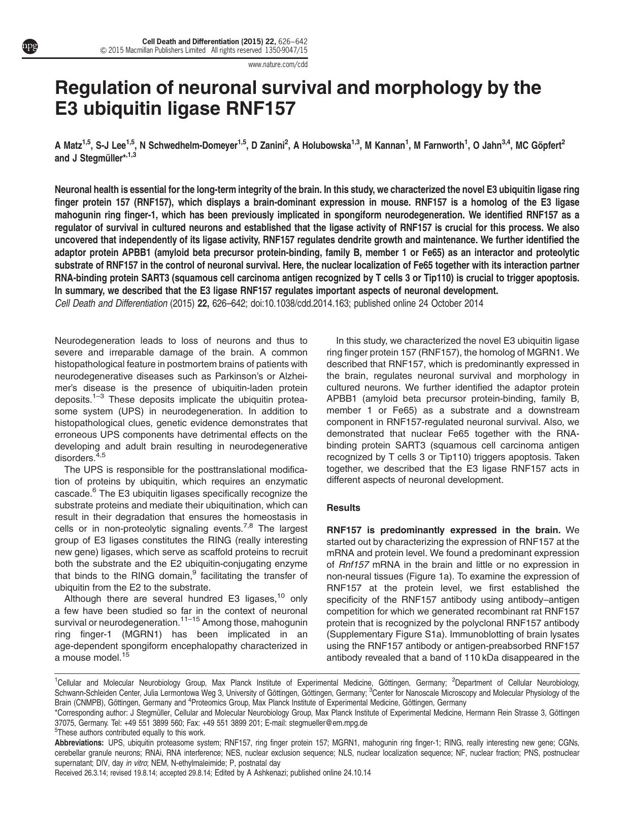 Regulation of neuronal survival and morphology by the E3 ubiquitin ligase RNF157 by unknow