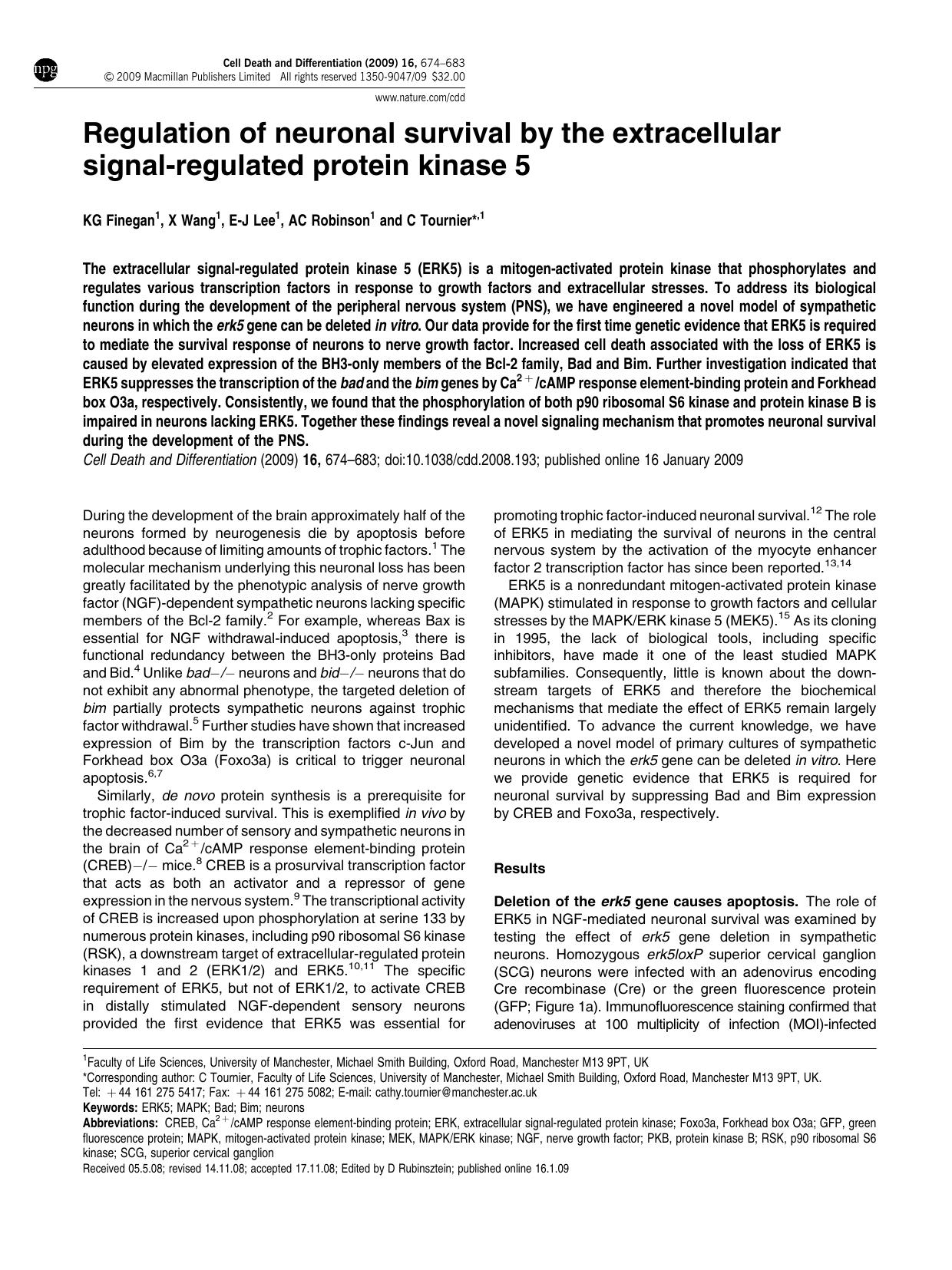 Regulation of neuronal survival by the extracellular signal-regulated protein kinase 5 by K G Finegan & X Wang & E-J Lee & A C Robinson & C Tournier &