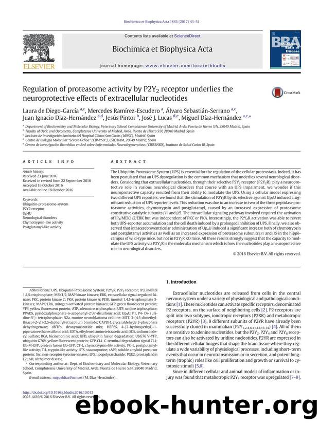 Regulation of proteasome activity by P2Y2 receptor underlies the neuroprotective effects of extracellular nucleotides by unknow