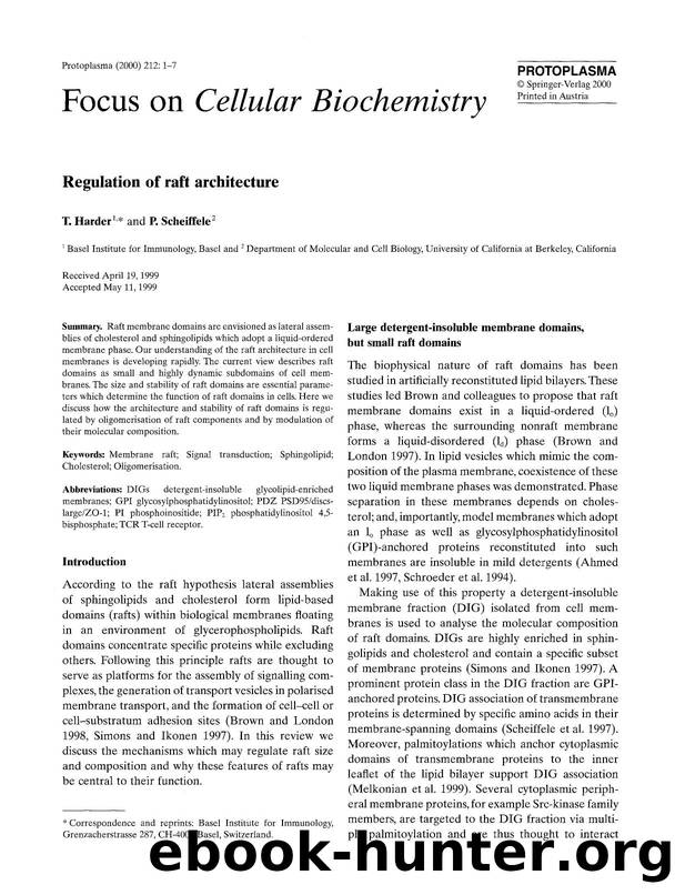 Regulation of raft architecture by Unknown