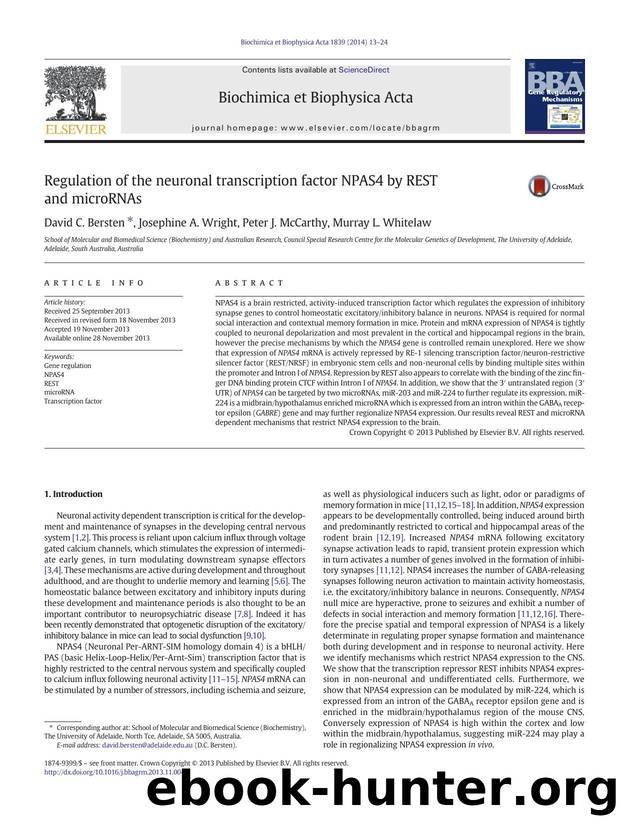 Regulation of the neuronal transcription factor NPAS4 by REST and microRNAs by David C. Bersten & Josephine A. Wright & Peter J. McCarthy & Murray L. Whitelaw