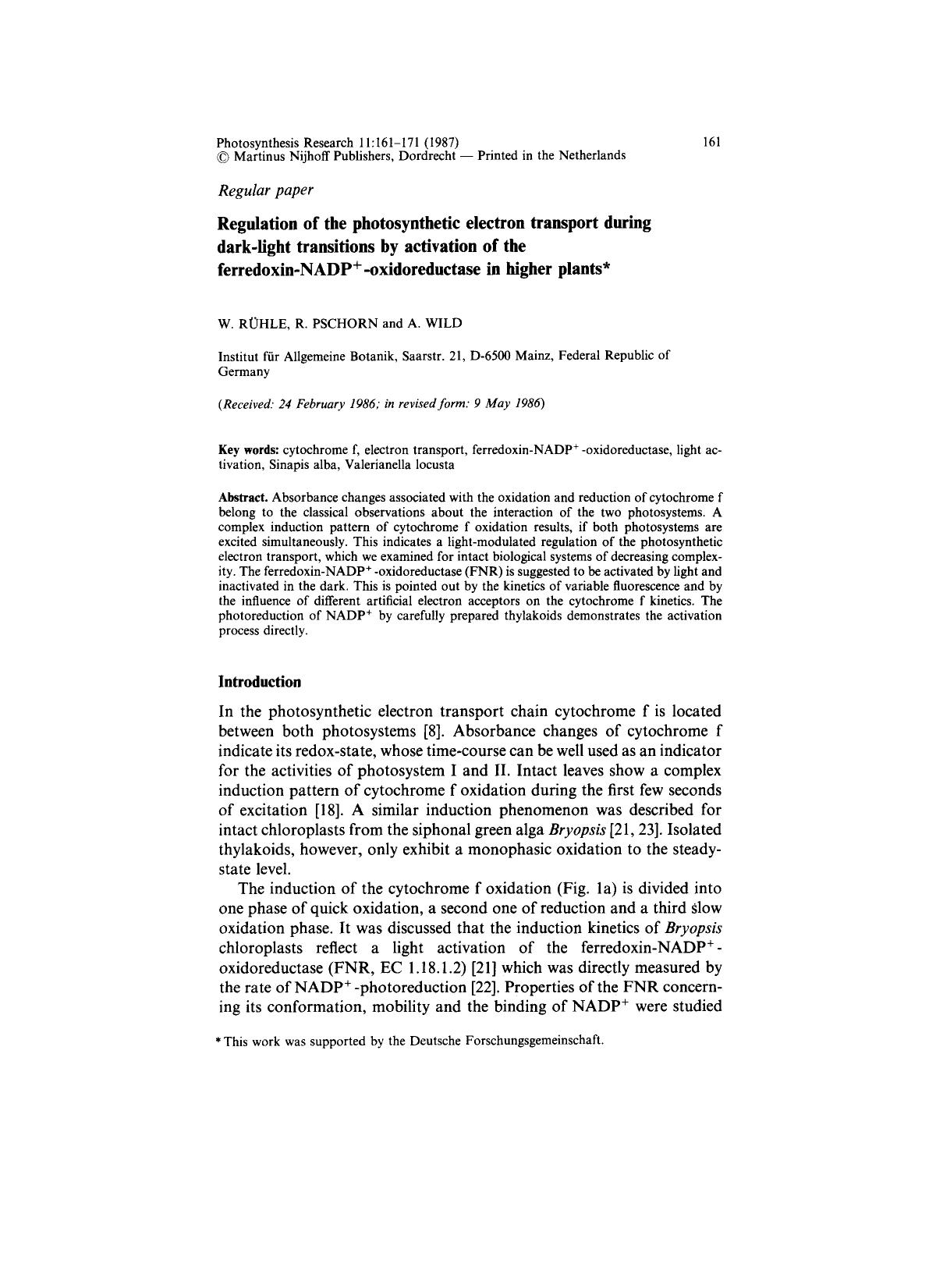 Regulation of the photosynthetic electron transport during dark-light transitions by activation of the ferredoxin-NADP <Superscript>+ <Superscript>-oxidoreductase in higher plants by Unknown