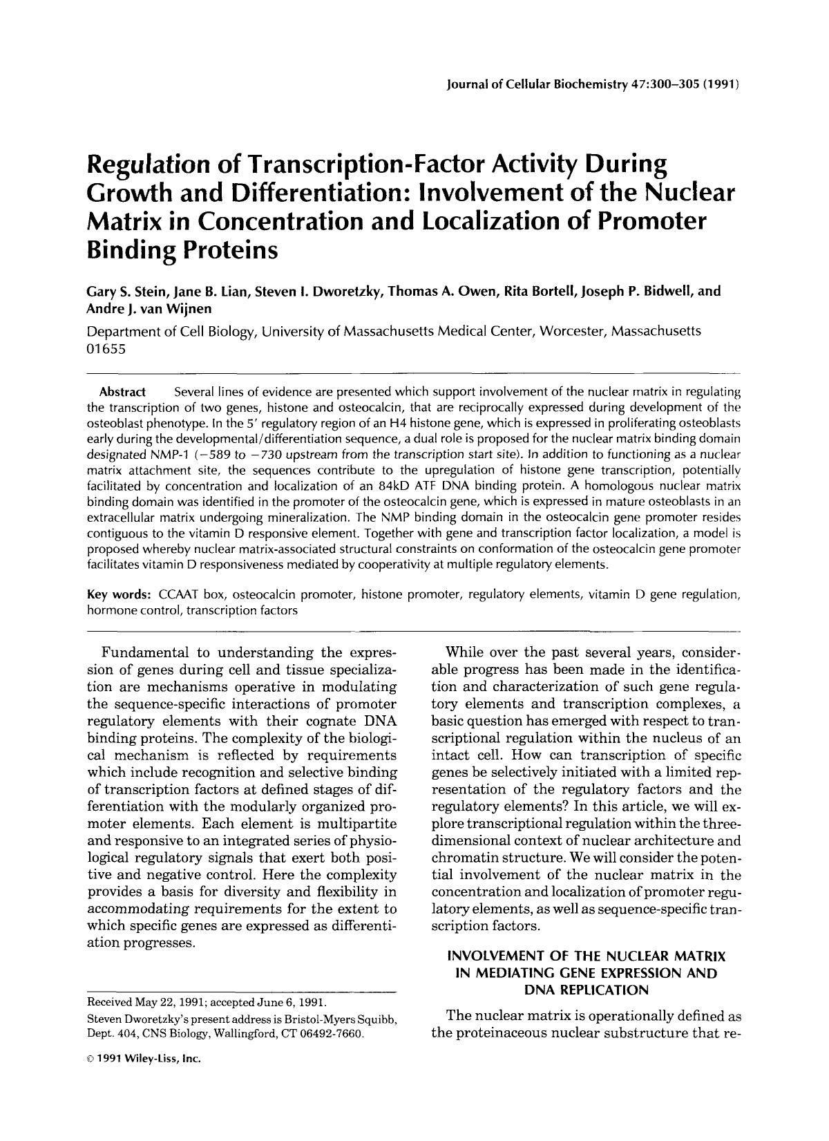 Regulation of transcription-factor activity during growth and differentiation: Involvement of the nuclear matrix in concentration and localization of promoter binding proteins by Unknown