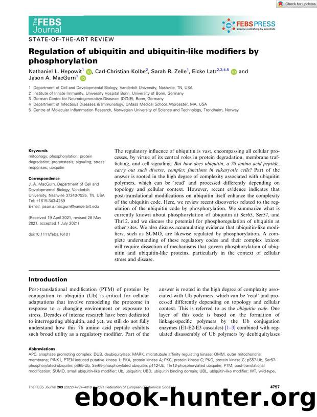 Regulation of ubiquitin and ubiquitinâlike modifiers by phosphorylation by Unknown