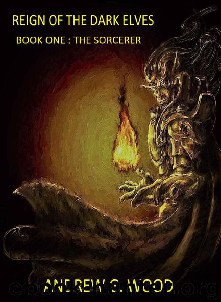 Reign of the Dark Elves: Book One : The Sorcerer by Andrew G. Wood
