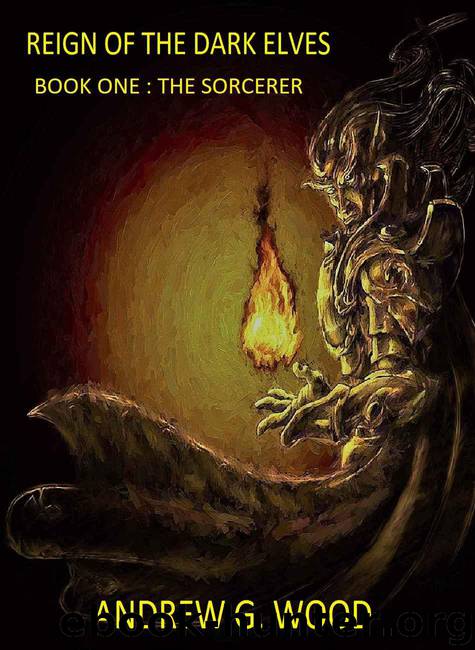 Reign of the Dark Elves: Book One : The Sorcerer by Wood Andrew G