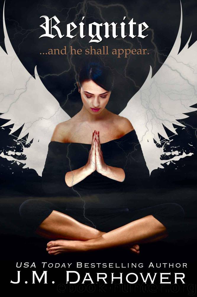 Reignite (Extinguish Book 2) by Darhower J.M