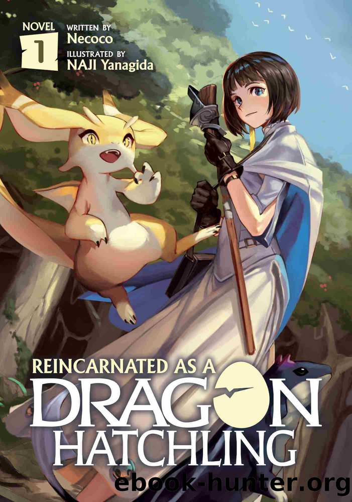 Reincarnated as a Dragon Hatchling (Light Novel), Volume 1 by Nekoko