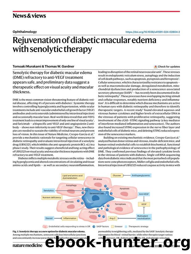 Rejuvenation of diabetic macular edema with senolytic therapy by Tomoaki Murakami & Thomas W. Gardner