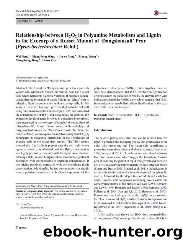 Relationship between H2O2 in Polyamine Metabolism and Lignin in the Exocarp of a Russet Mutant of âDangshansuliâ Pear (Pyrus bretschneideri Rehd.) by Wei Heng & Meng-dong Wang & Jin-yu Yang & Zi-teng Wang & Xiang-hong Jiang & Li-wu Zhu
