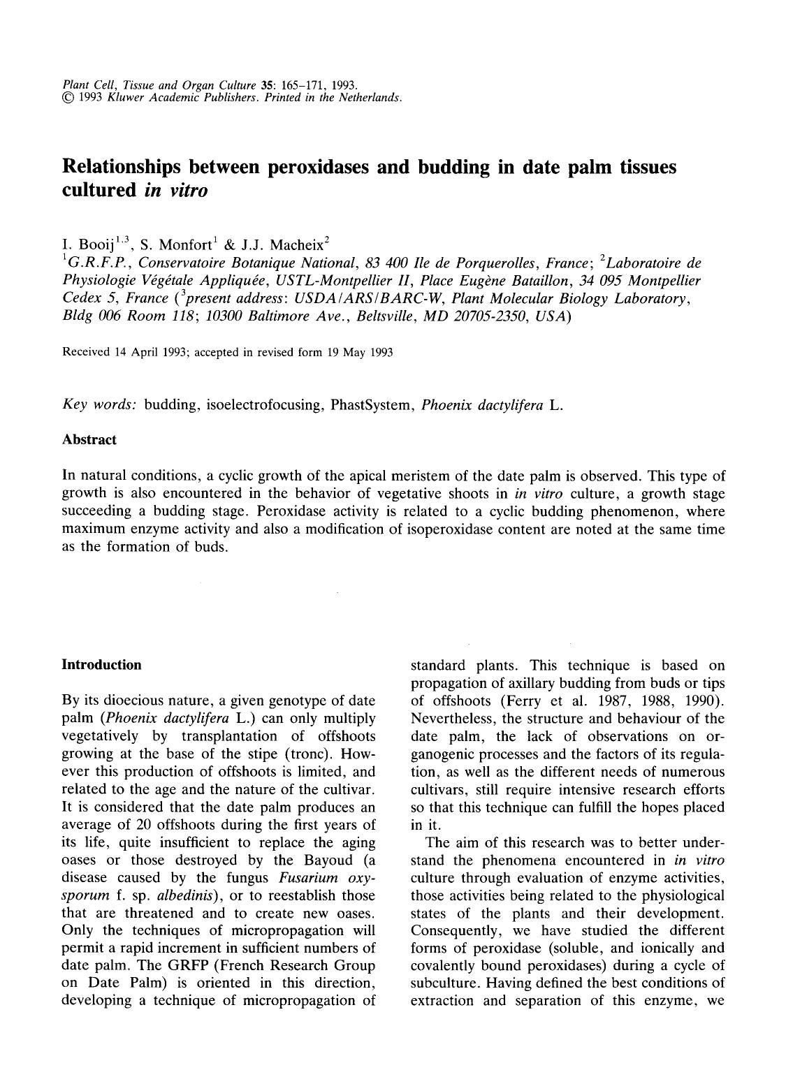 Relationships between peroxidases and budding in date palm tissues cultured <Emphasis Type="Italic">in vitro<Emphasis> by Unknown