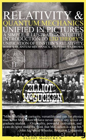 Relativity and Quantum Mechanics Unified in Pictures: A Simple, Intuitive, Illustrated Introduction to LTD Theory's Unification of Einstein's Relativity, Bohr's Quantum by McGucken Dr. Elliot