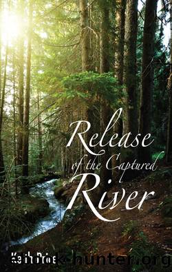 Release of the Captured River by Keith Price