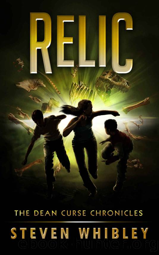 Relic by Steven Whibley