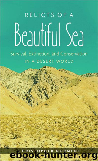 Relicts of a Beautiful Sea by Norment Christopher