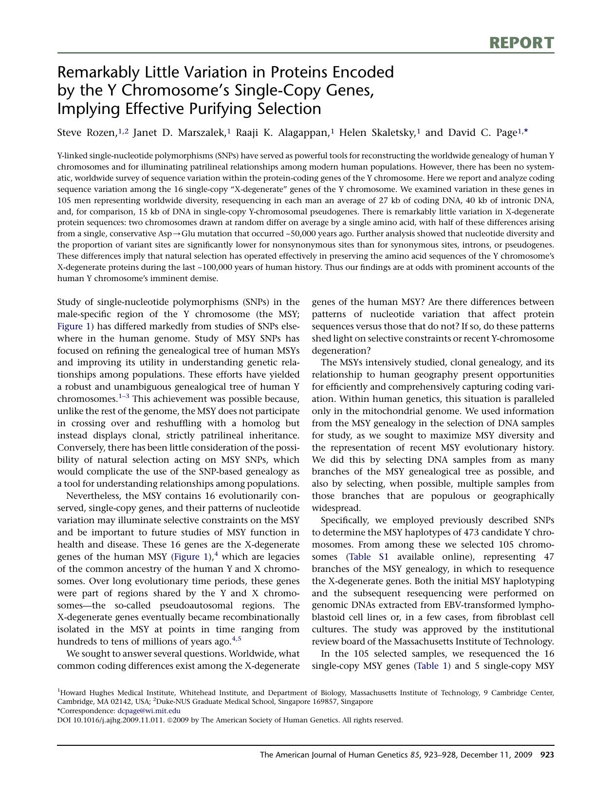 Remarkably Little Variation in Proteins Encoded by the Y ChromosomeÂs Single-Copy Genes, Implying Effective Purifying Selection by Steve Rozen; Janet D. Marszalek; Raaji K. Alagappan; Helen Skaletsky; David C. Page