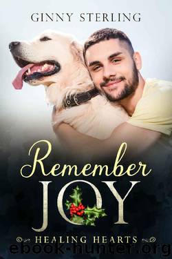 Remember Joy (Healing Hearts Book 3) by Ginny Sterling
