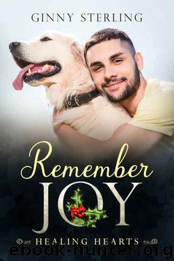Remember Joy by Ginny Sterling