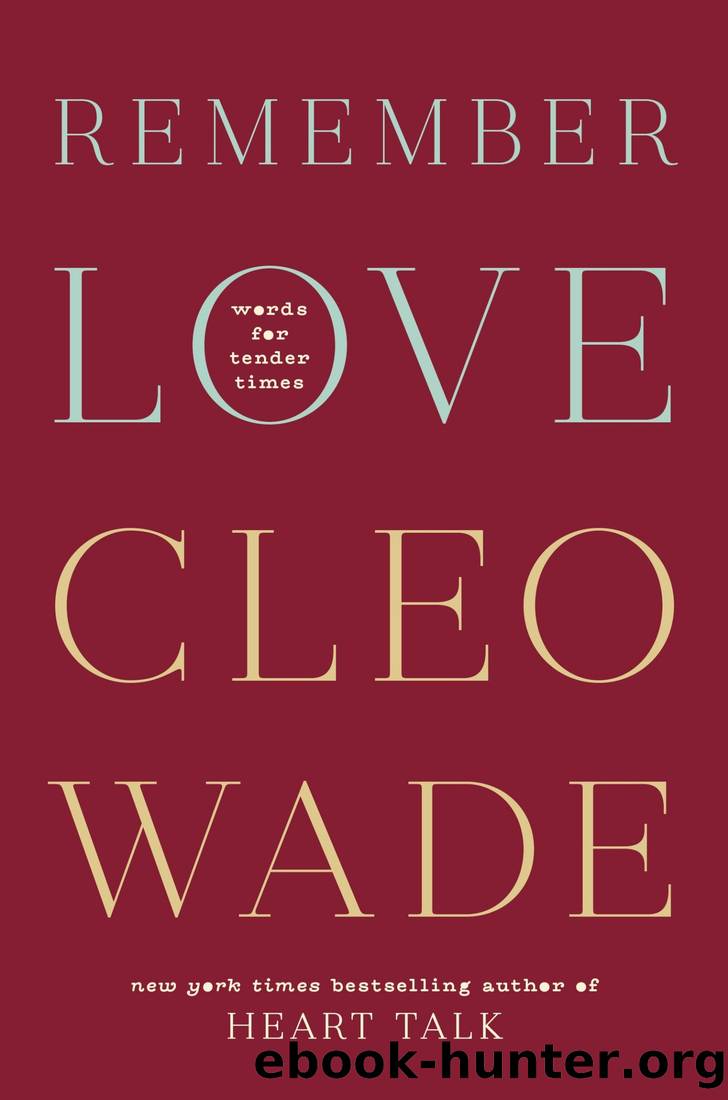 Remember Love: Words for Tender Times by Cleo Wade