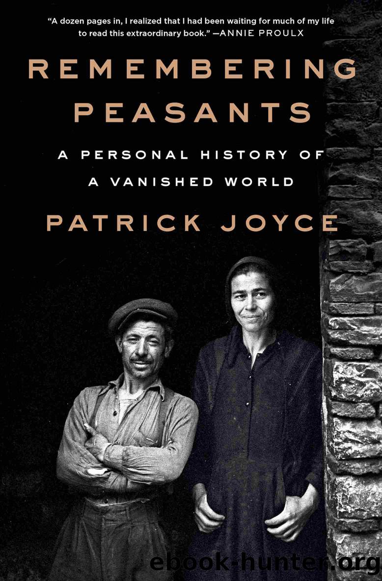 Remembering Peasants by Patrick Joyce