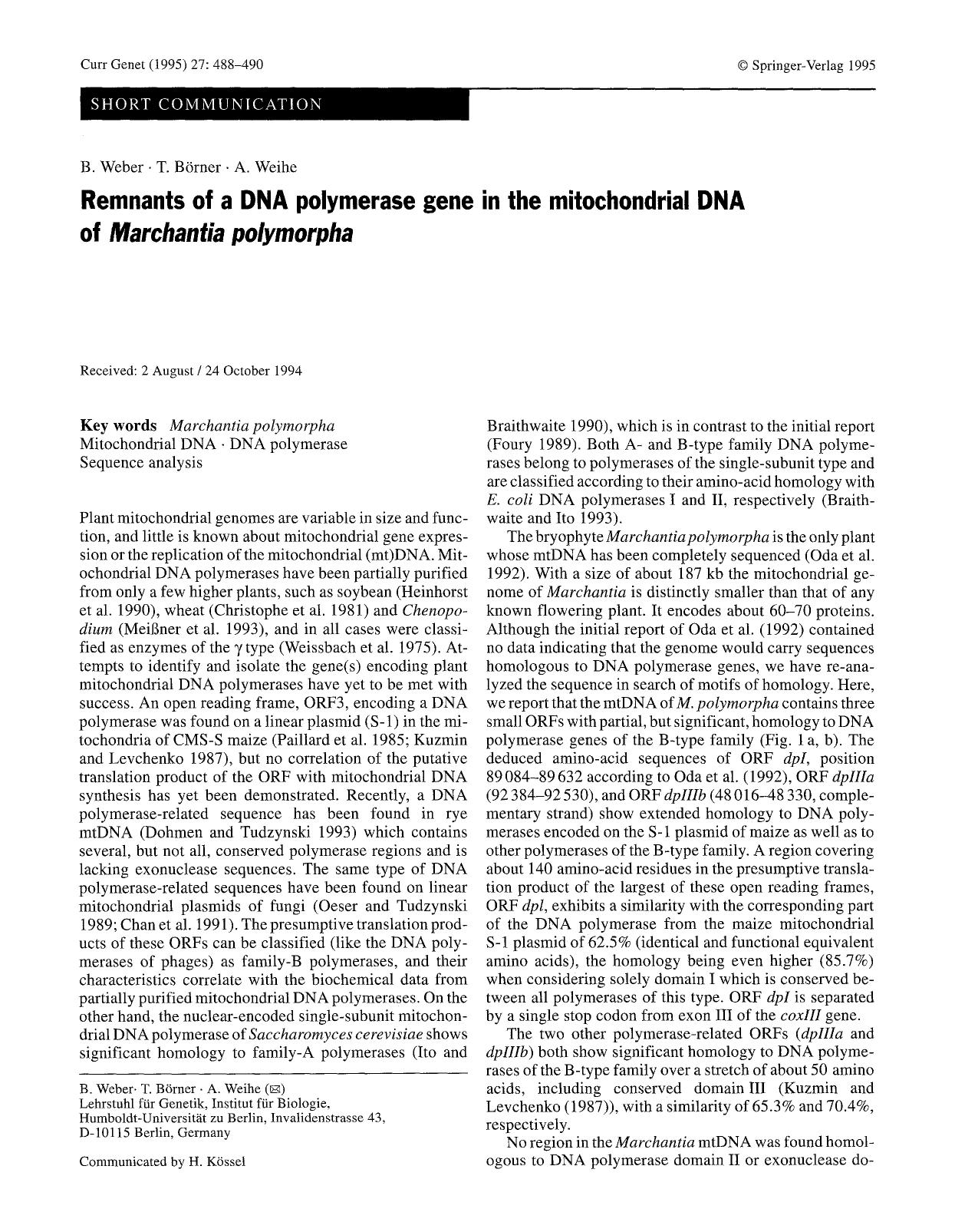 Remnants of a DNA polymerase gene in the mitochondrial DNA of <Emphasis Type="Italic">Marchantia polymorpha<Emphasis> by Unknown