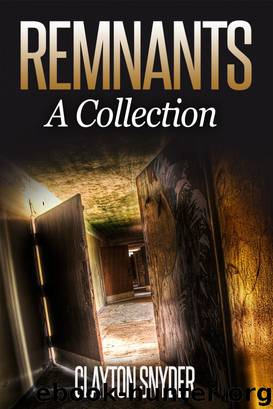 Remnants: A Collection by Clayton Snyder