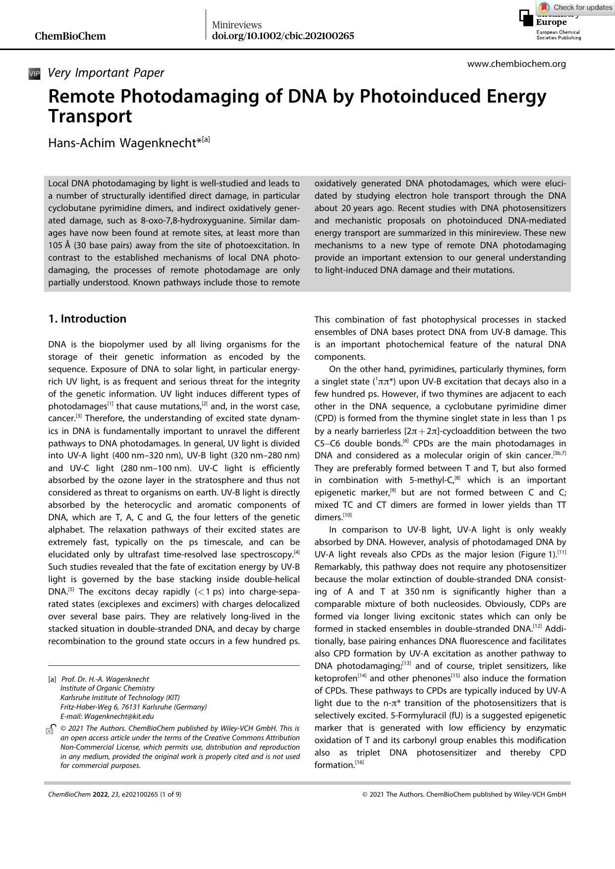 Remote Photodamaging of DNA by Photoinduced Energy Transport by Unknown