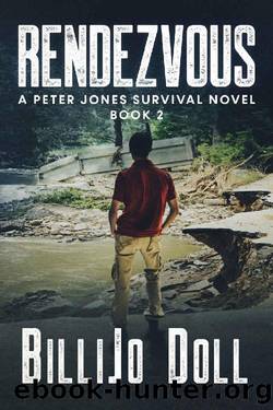 Rendezvous: a Peter Jones survival novel: Book 2 by BilliJo Doll