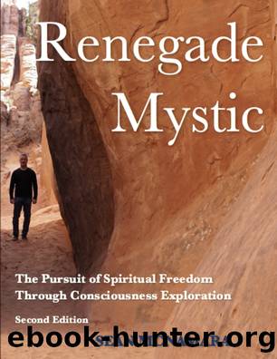 Renegade Mystic by Sean McNamara