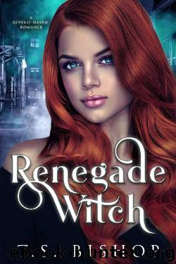 Renegade Witch_An Urban Fantasy Reverse Harem Romance by T. S. Bishop