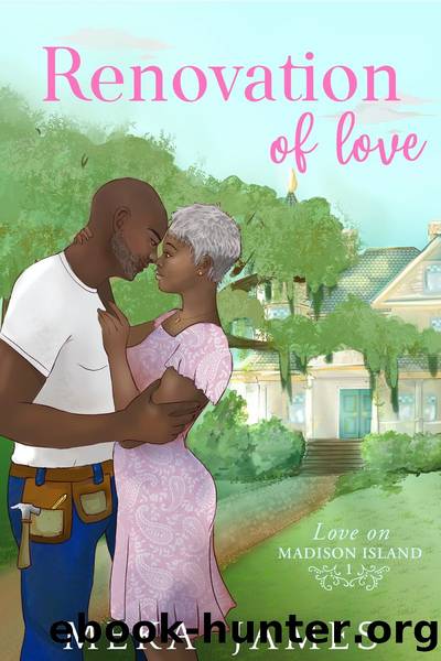 Renovation of Love by Meka James