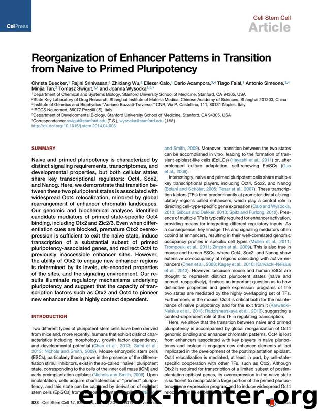 Reorganization of Enhancer Patterns in Transition from Naive to Primed Pluripotency by unknow