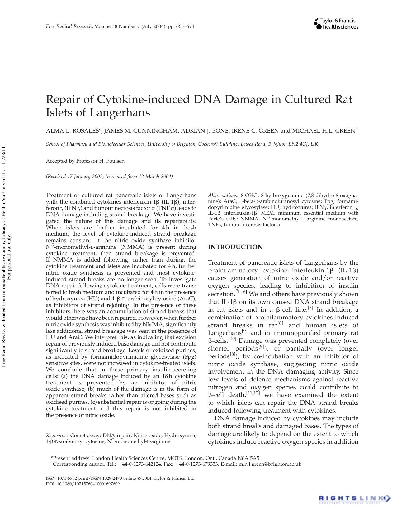 Repair of Cytokine-induced DNA Damage in Cultured Rat Islets of Langerhans by Alma L. Rosales* James M. Cunningham Adrian J. Bone Irene C. Green & Michael H.L. Green