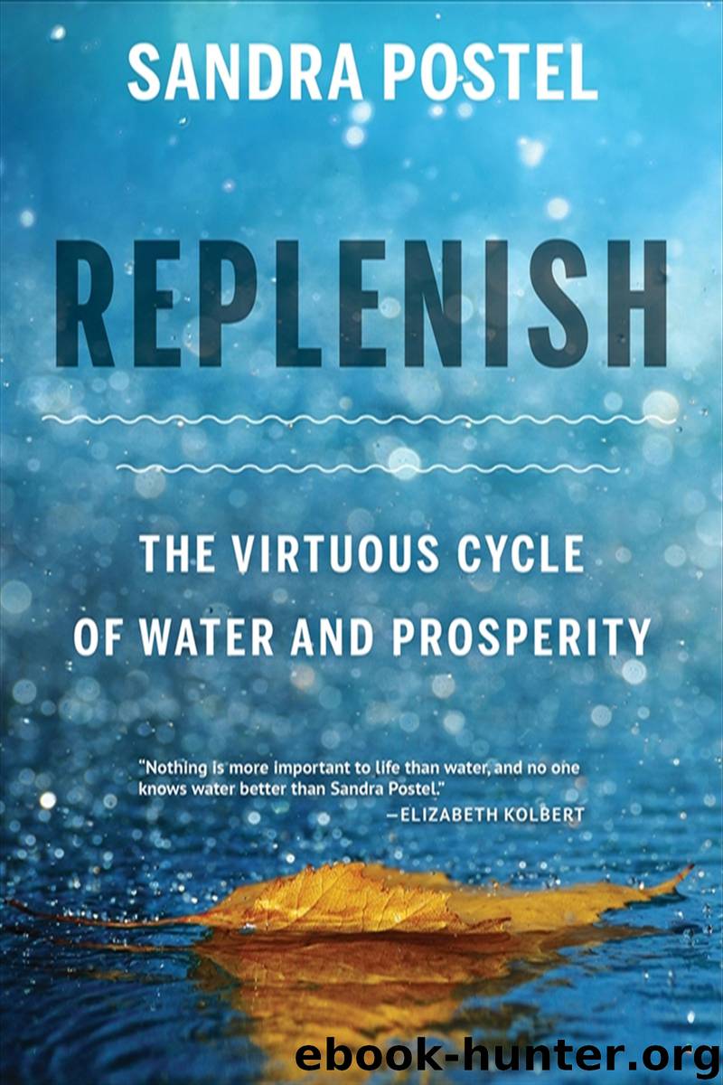 Replenish: The Virtuous Cycle of Water and Prosperity by Sandra Postel