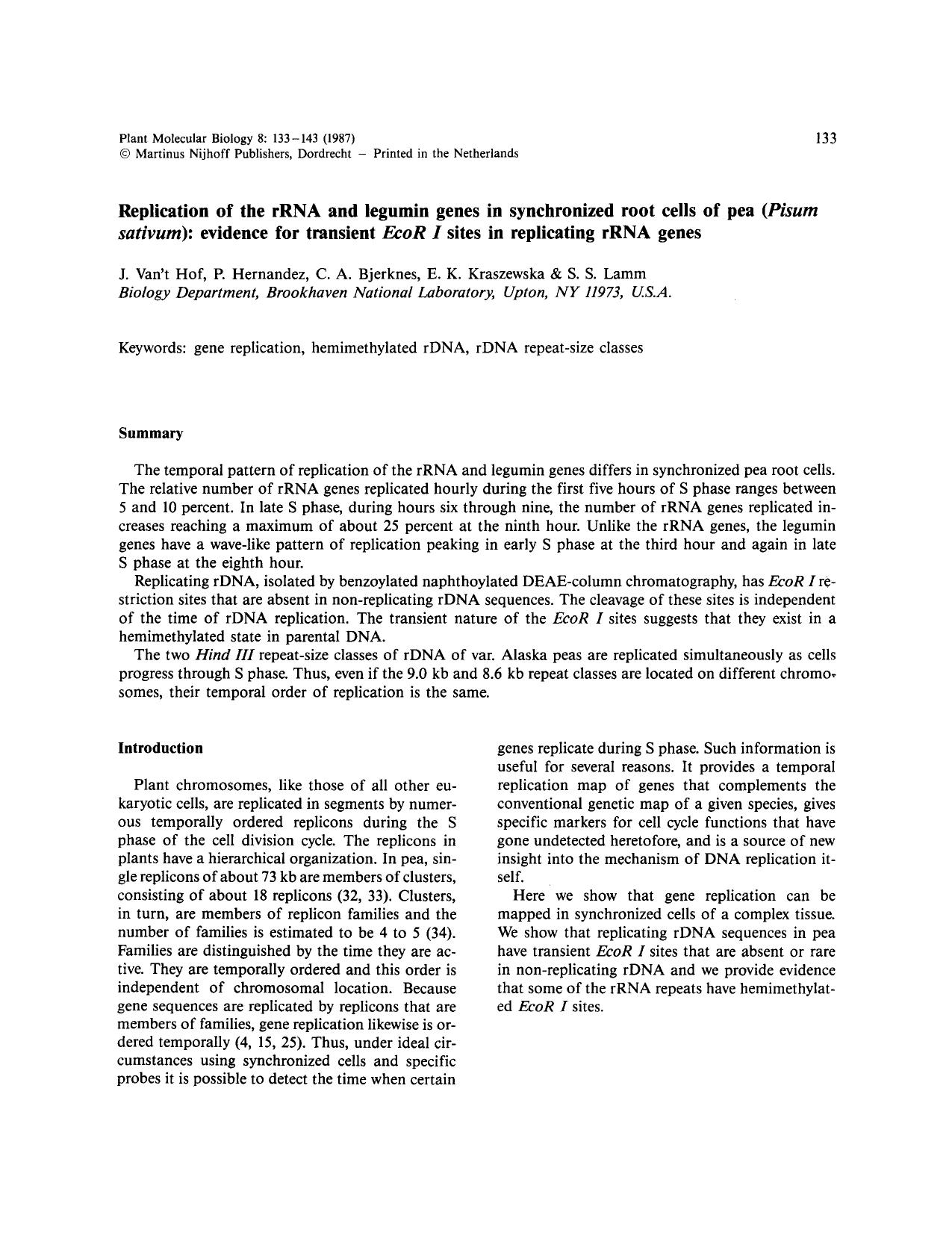 Replication of the rRNA and legumin genes in synchronized root cells of pea (<Emphasis Type="Italic">Pisum sativum<Emphasis>): evidence for transient <Emphasis Type="Italic">EcoR I by Unknown