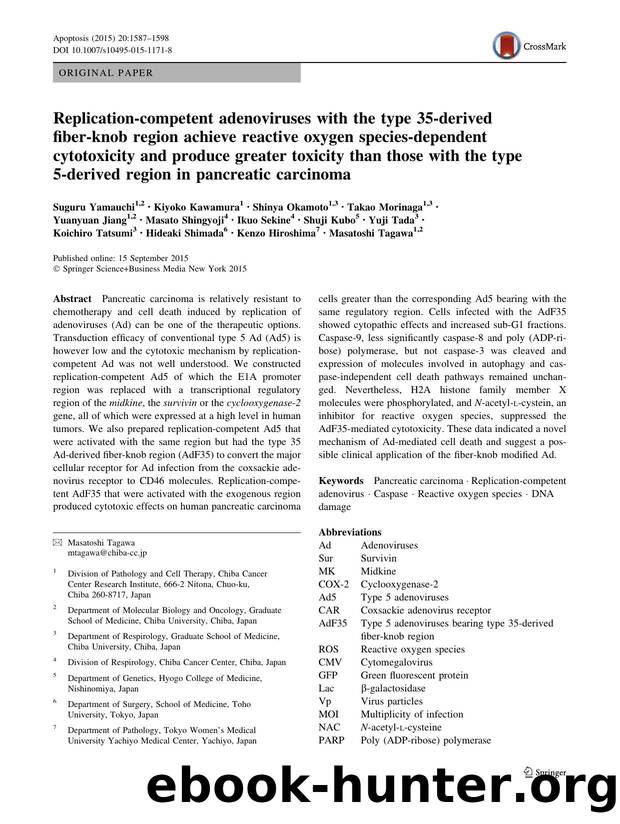 Replication-competent adenoviruses with the type 35-derived fiber-knob region achieve reactive oxygen species-dependent cytotoxicity and produce greater toxicity than those with th by unknow