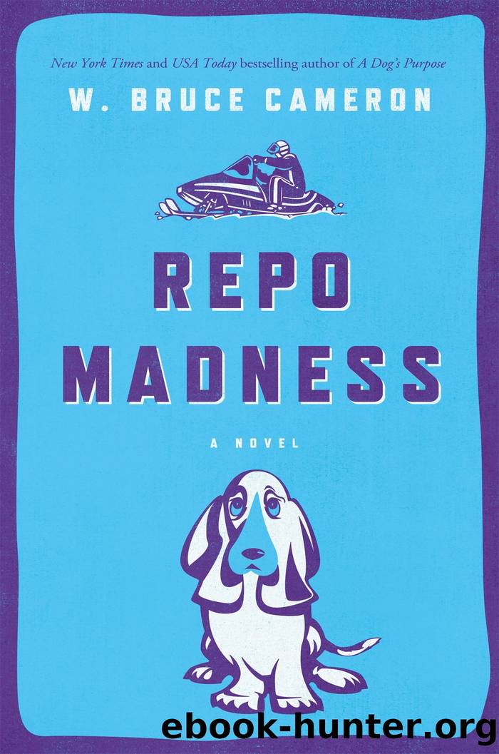 Repo Madness: A Novel by Cameron W. Bruce