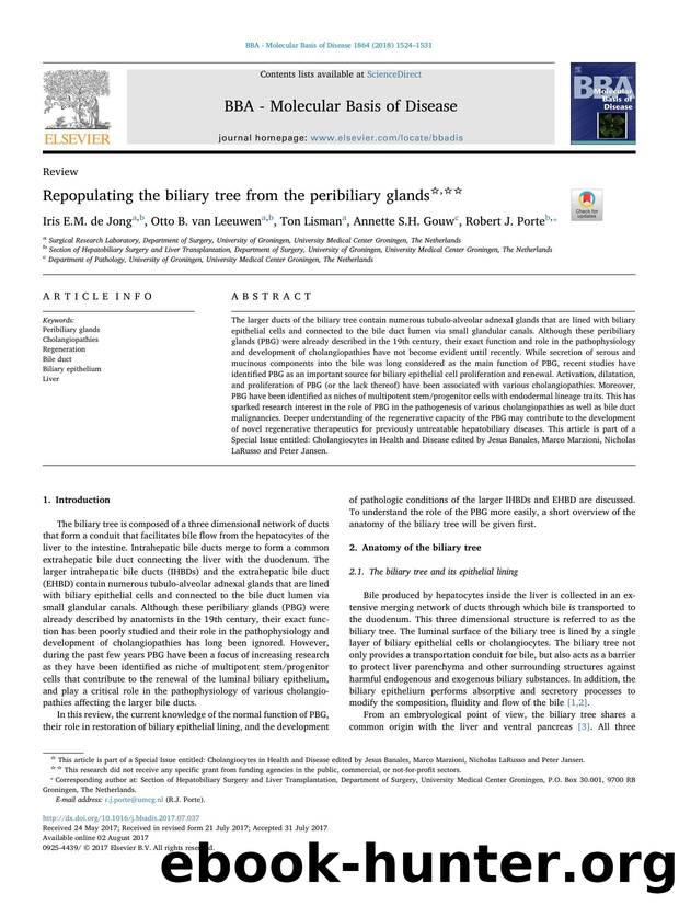 Repopulating the biliary tree from the peribiliary glands by Iris E.M. de Jong & Otto B. van Leeuwen & Ton Lisman & Annette S.H. Gouw & Robert J. Porte