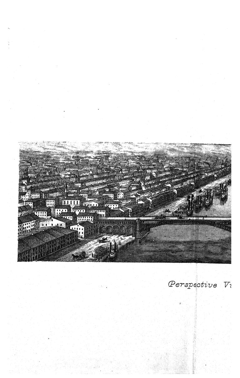 Report of the engineer-in-chief of the illinois and st. louis bridge company by 1868