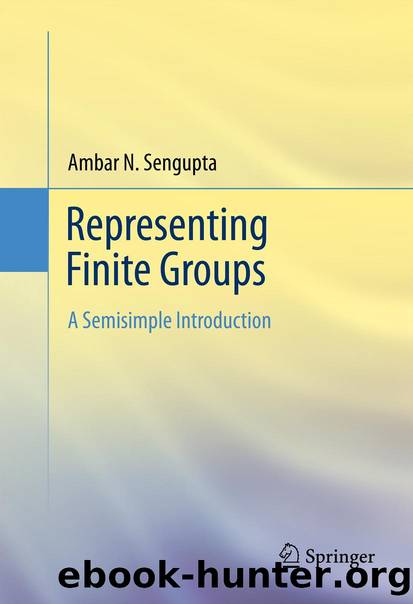 Representing Finite Groups by Ambar N. Sengupta