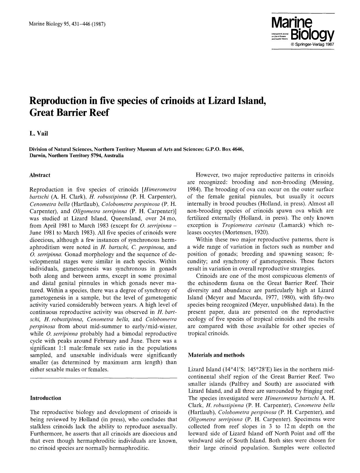 Reproduction in five species of crinoids at Lizard Island, Great Barrier Reef by Unknown