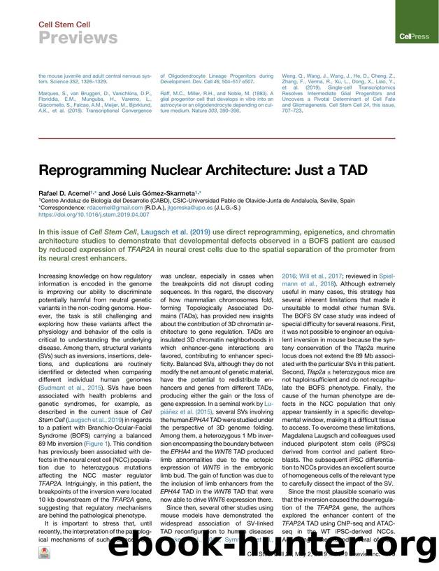 Reprogramming Nuclear Architecture: Just a TAD by Rafael D. Acemel & José Luis Gómez-Skarmeta