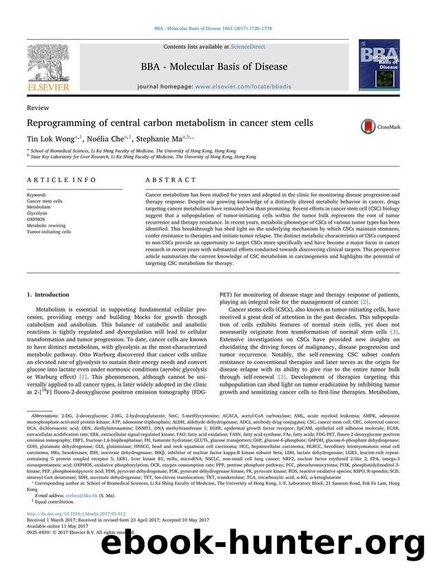 Reprogramming of central carbon metabolism in cancer stem cells by Tin Lok Wong & Noélia Che & Stephanie Ma