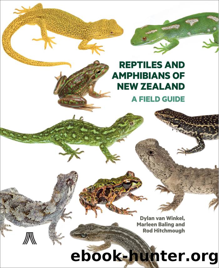 Reptiles and Amphibians of New Zealand by Dylan van Winkel