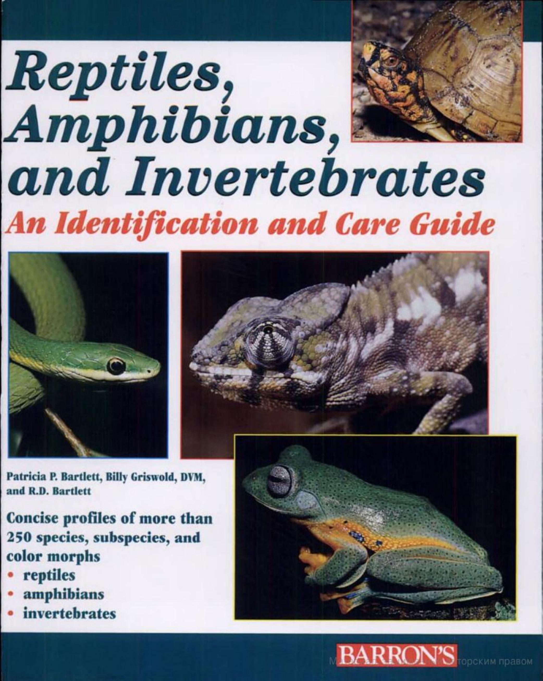 Reptiles, Amphibians, and Invertebrates by Авторы: Richard D. Bartlett Billy Griswold