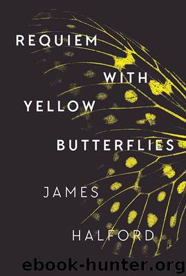 Requiem with Yellow Butterflies by James Halford