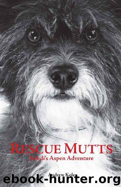 Rescue Mutts: Bohdi's Aspen Adventure by Andrew Kole