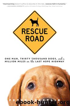 Rescue Road by Peter Zheutlin
